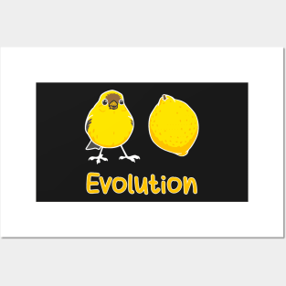 Convergent Evolution of a Brid into a Lemon. Science Pun Posters and Art